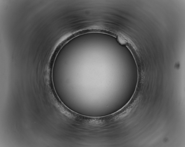 X0000100191029200806061253