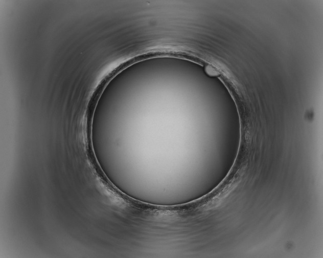 X0000100191030200806061253