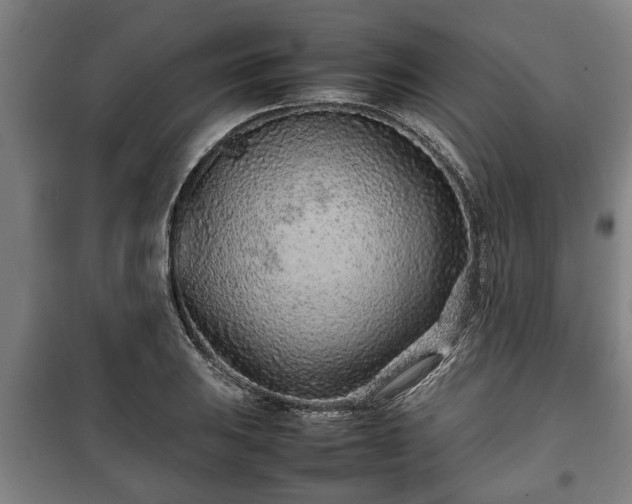 X0000100191031200806061253