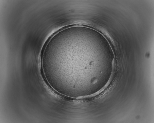 X0000100191032200806061253