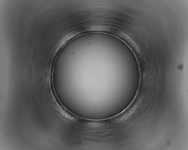 X0000100191033200806061253