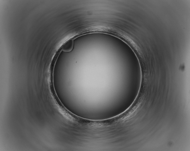 X0000100191034200806061253