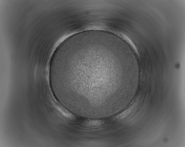 X0000100191035200806061253