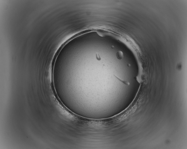 X0000100191036200806061253