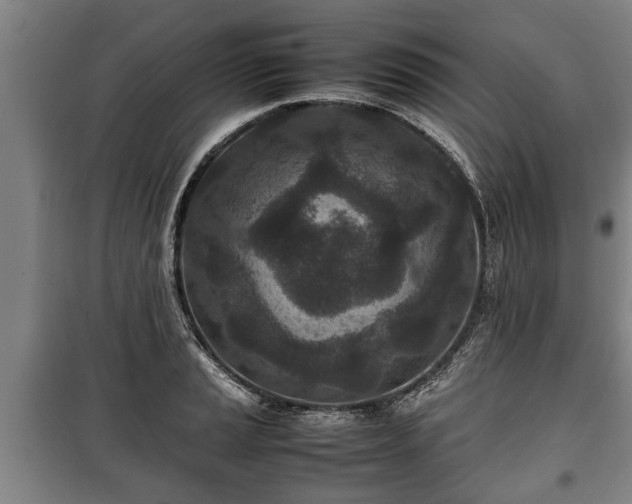 X0000100191037200806061253