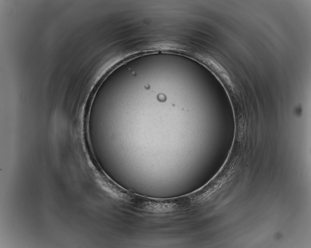 X0000100191039200806061253