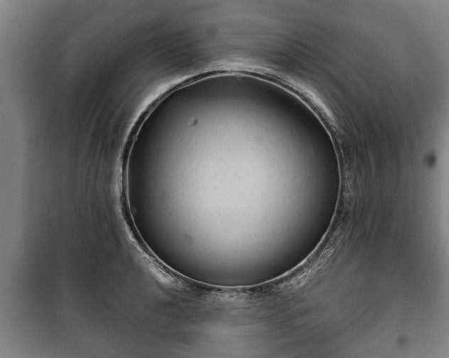 X0000100191040200806061253