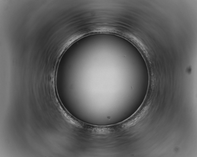 X0000100191041200806061253