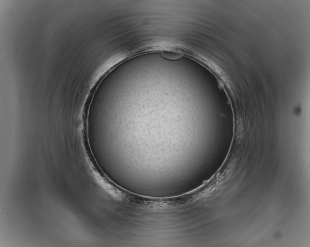 X0000100191042200806061253