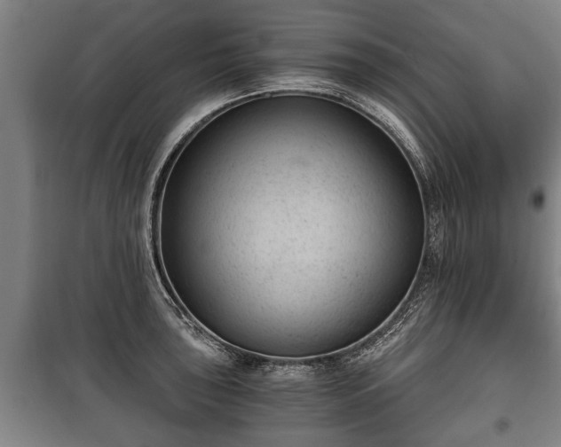 X0000100191043200806061253