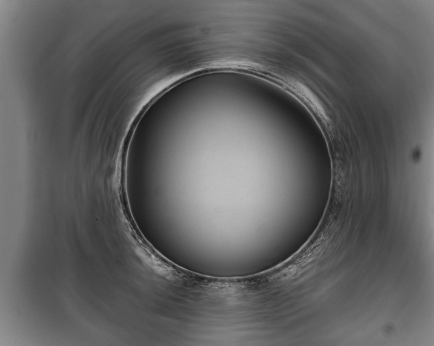 X0000100191044200806061254