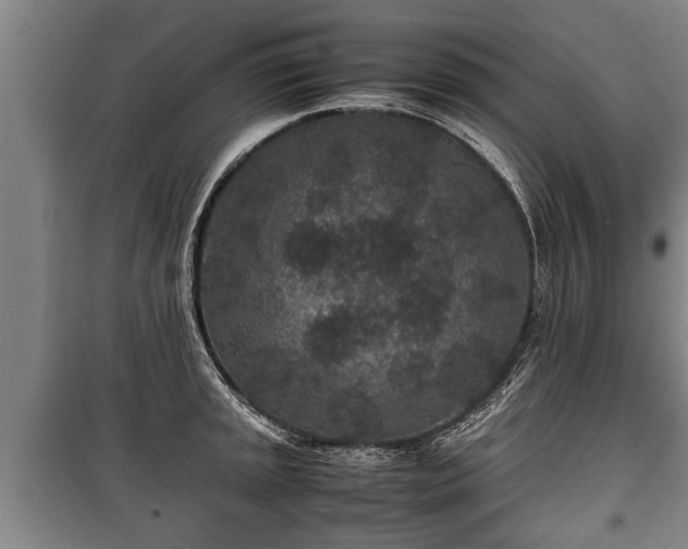 X0000100191045200806061254