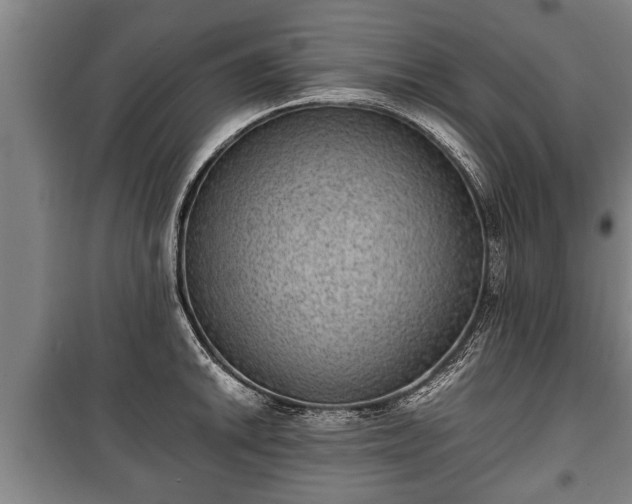 X0000100191046200806061254