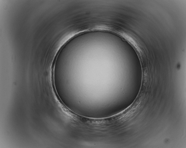 X0000100191047200806061254