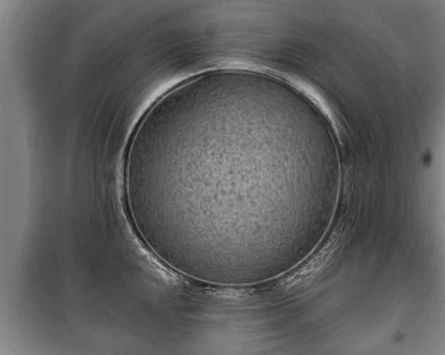 X0000100191048200806061254