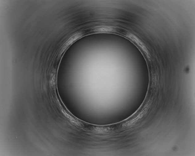 X0000100191049200806061254