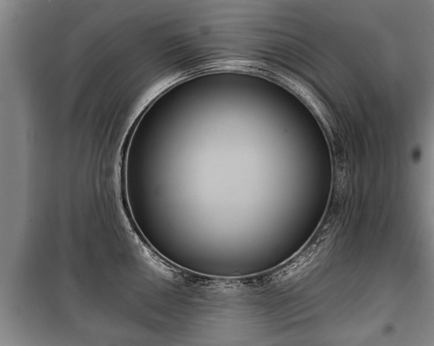 X0000100191050200806061254