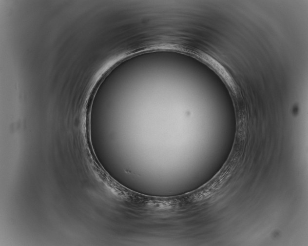 X0000100191051200806061254