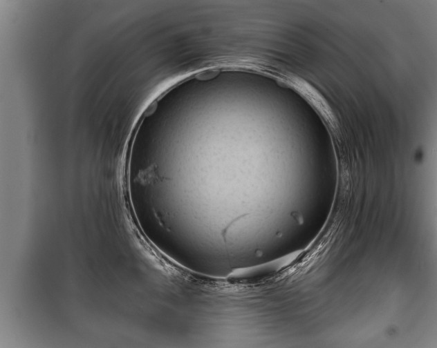 X0000100191052200806061254