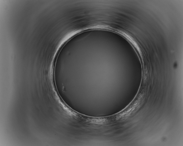 X0000100191053200806061254