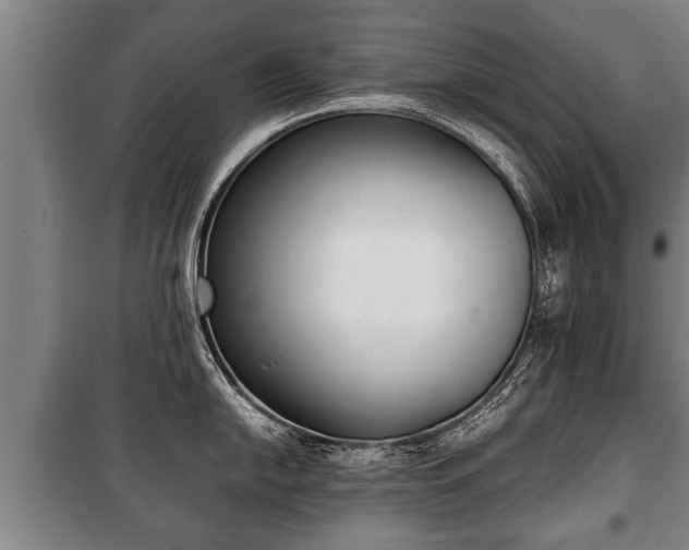 X0000100191054200806061254