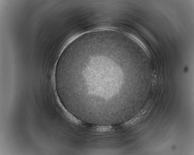 X0000100191055200806061254