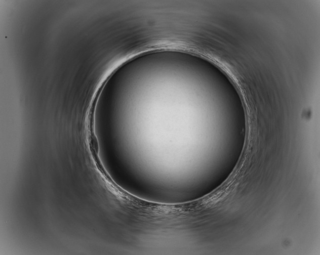 X0000100191056200806061254