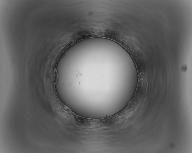 X0000100191057200806061253