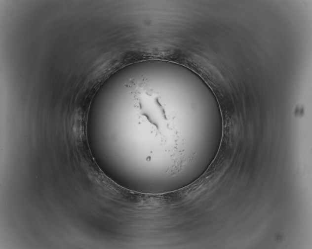 X0000100191058200806061253