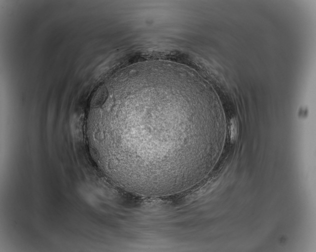 X0000100191059200806061253