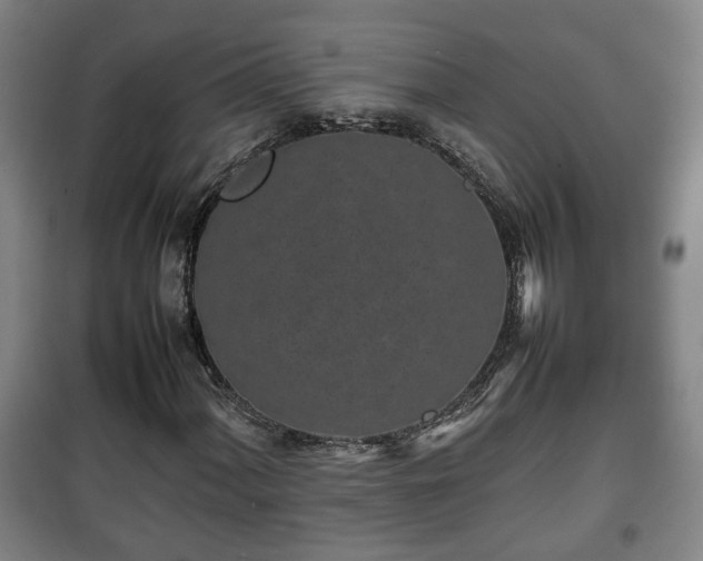 X0000100191060200806061253