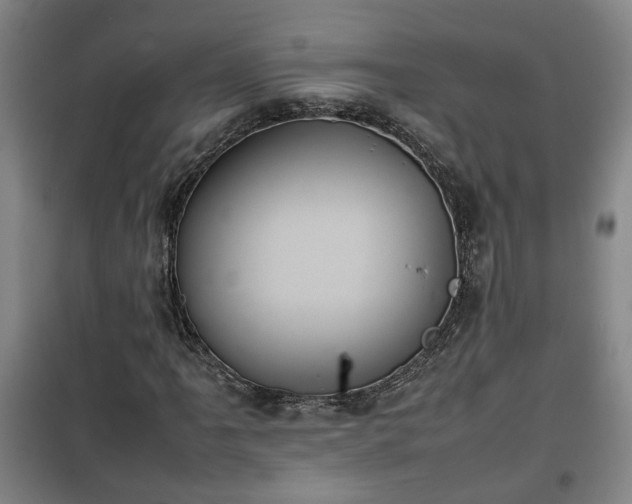 X0000100191061200806061253