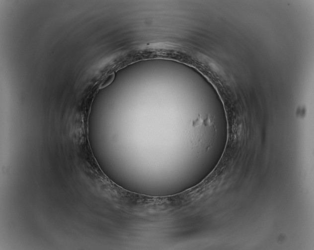 X0000100191062200806061253