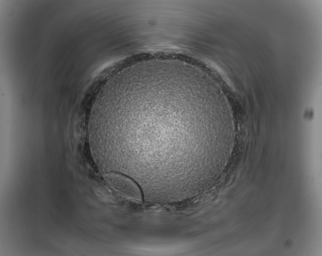 X0000100191063200806061253