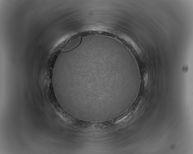 X0000100191064200806061253