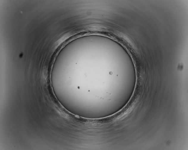 X0000100191065200806061253