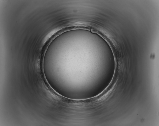 X0000100191066200806061253