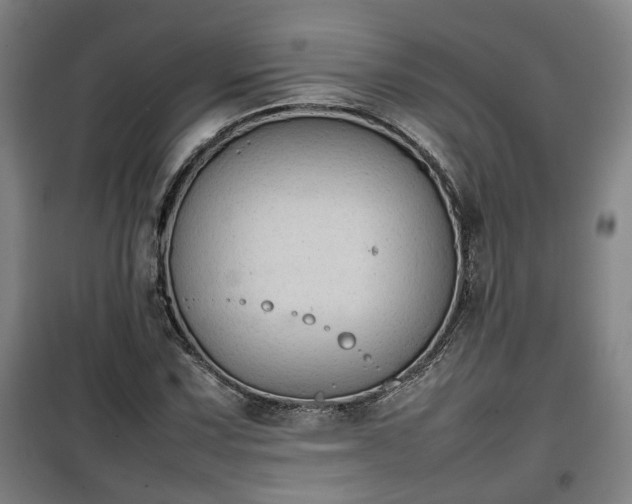 X0000100191067200806061253