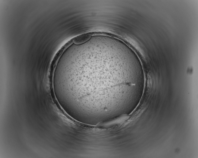 X0000100191068200806061253