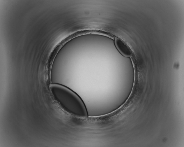 X0000100191069200806061253