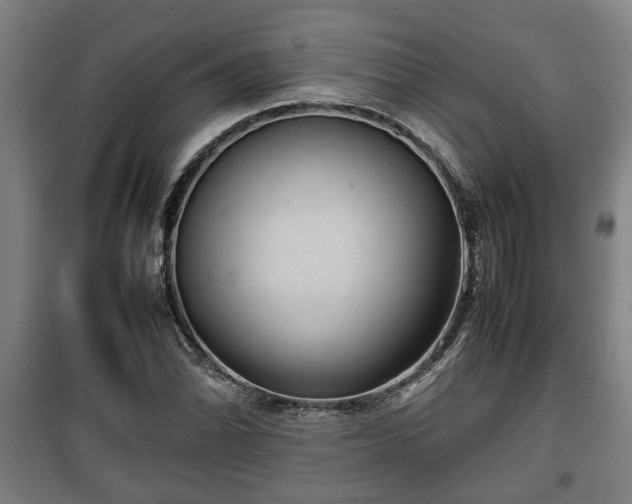 X0000100191070200806061253