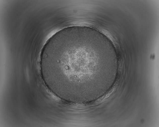 X0000100191071200806061253