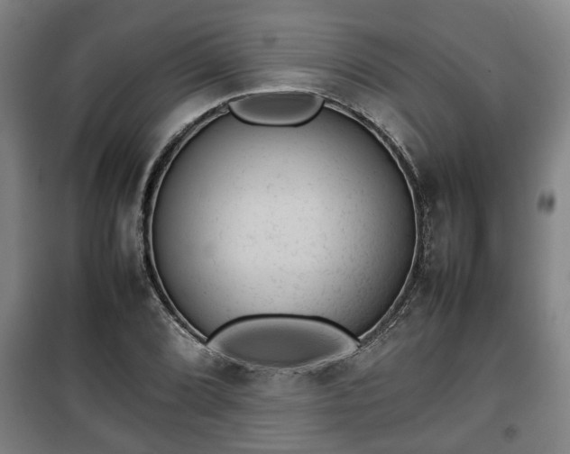 X0000100191072200806061253