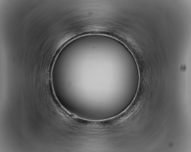 X0000100191073200806061253