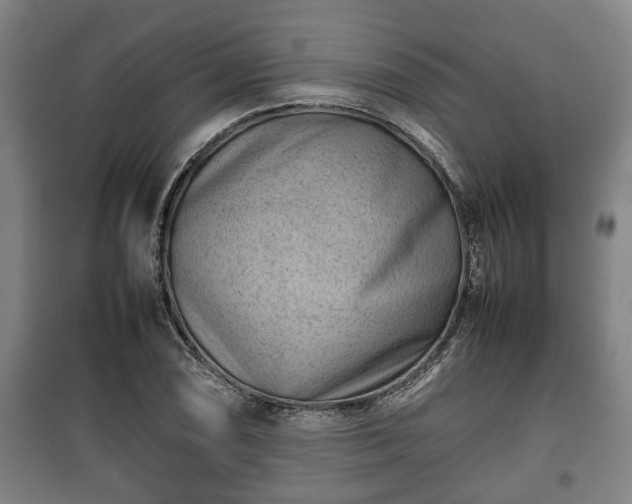 X0000100191074200806061253