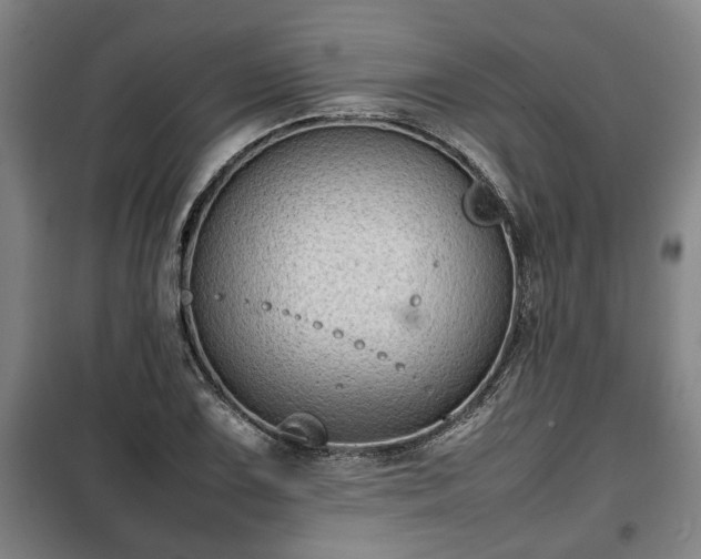 X0000100191075200806061253