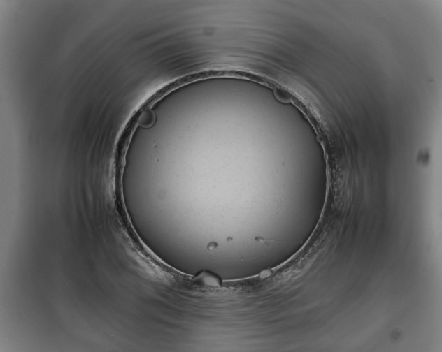 X0000100191076200806061253