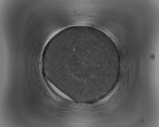 X0000100191077200806061253