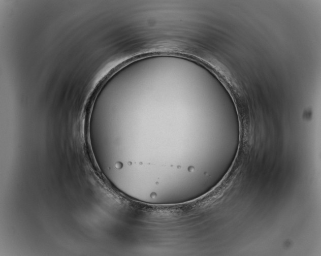 X0000100191078200806061253