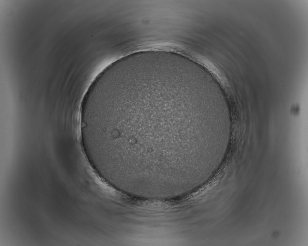 X0000100191079200806061253